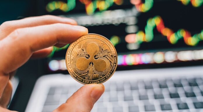 Почему минимальные комиссии делают ExchangeMafia выгодным выбором